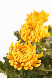 Similar image 2329775