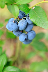 Similar image 2329803