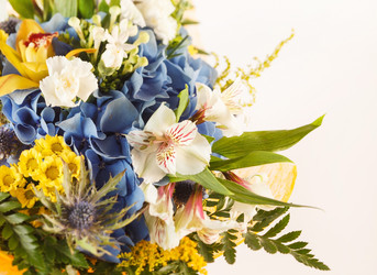 Similar image 2329804