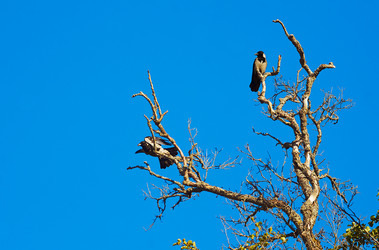 Similar image 2329857