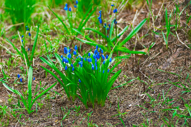 Similar image 2329858