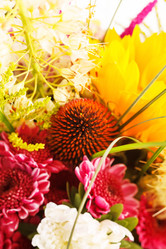 Similar image 2329899