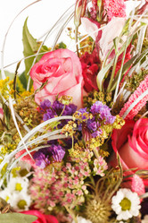 Similar image 2329907