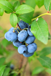 Similar image 2329913