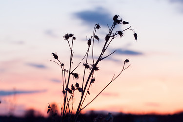 Similar image 2329918