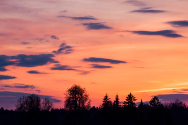 Similar image 2329921