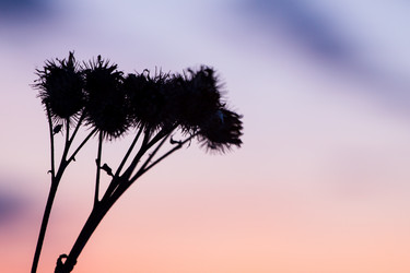 Similar image 2329923