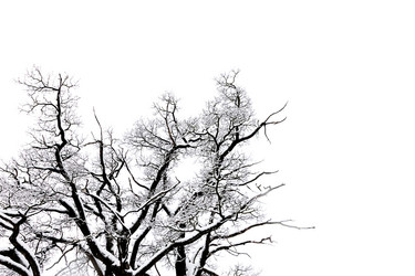 Similar image 2329928