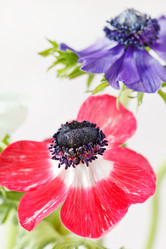 Similar image 2329942