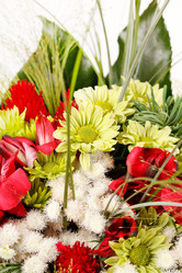 Similar image 2329990