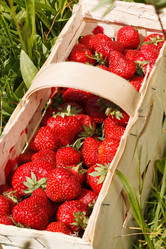 Similar image 2330023