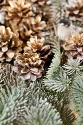 Similar image 2330096