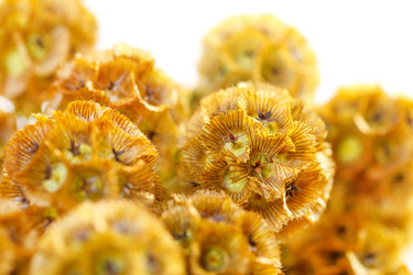 Similar image 2330108