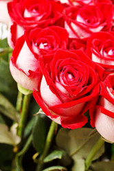 Similar image 2330109