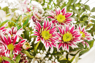 Similar image 2330115