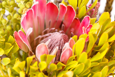 Similar image 2330121