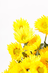 Similar image 2330124