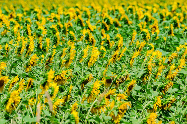 Similar image 2330173