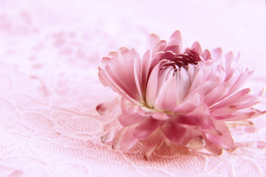 Similar image 2330187