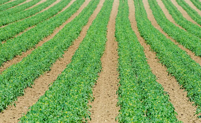 Similar image 2330212