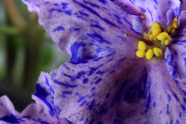 Similar image 2330229