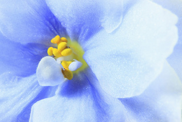 Similar image 2330281