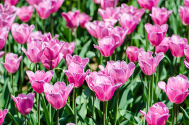 Similar image 2330328