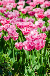 Similar image 2330350