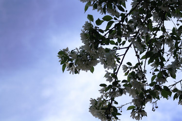 Similar image 2330422