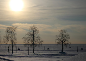 Similar image 2330466