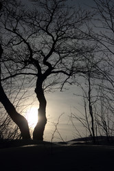 Similar image 2330496