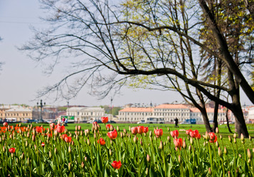 Similar image 2330506