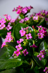 Similar image 2330548