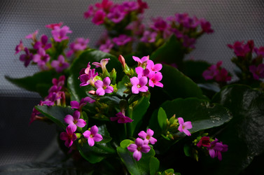 Similar image 2330550