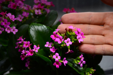 Similar image 2330551