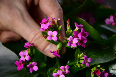 Similar image 2330552