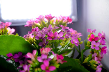 Similar image 2330555