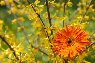 Similar image 2330606