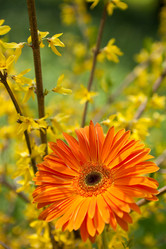 Similar image 2330608