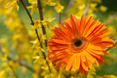 Similar image 2330609