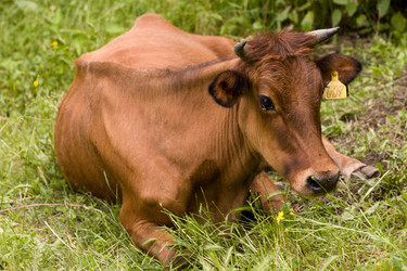 Similar image 2330614