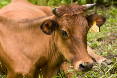 Similar image 2330615