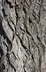 Similar image 2330636