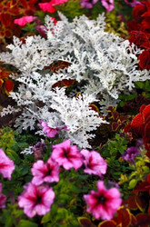 Similar image 2330640