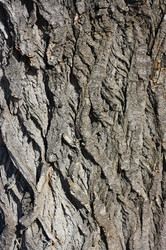 Similar image 2330644