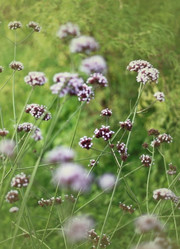 Similar image 2330652