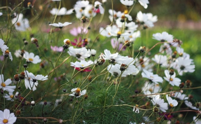 Similar image 2330655