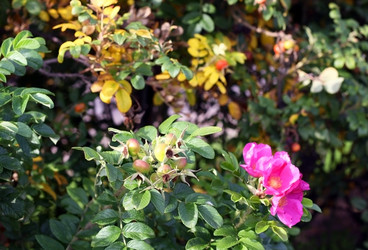 Similar image 2330656