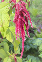 Similar image 2330657