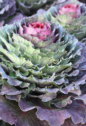 Similar image 2330659